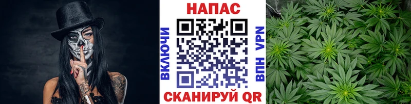 как найти наркотики Маркс Каннабис конопля